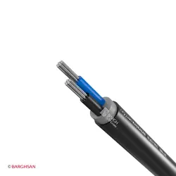 کابل آلومینیوم 2×16 خراسان افشارنژاد NA2XY