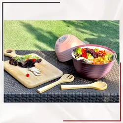 کاسه مسافرتی 4.5 لیتری ورا