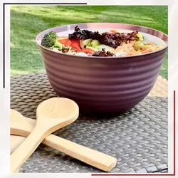 کاسه مسافرتی 4.5 لیتری ورا