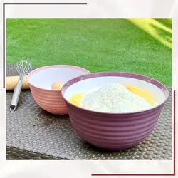 کاسه مسافرتی 4.5 لیتری ورا