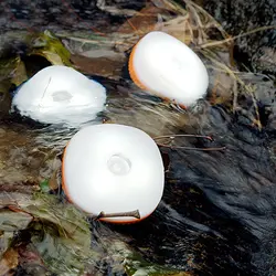 چراغ سقفی چادر مسافرتی نیچرهایک مدل Camp Lamp