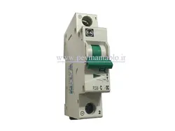 کلید مینیاتوری جریان مستقیم (DC) تک پل  2 و 4 آمپر F&G