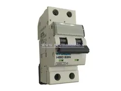 کلید مینیاتوری (mcb) دو پل / دو فاز 10 آمپر هیوندایی