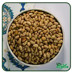سویا آجیلی