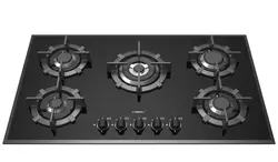 گاز صفحه ای شیشه ای رابیتس مدل RG-565