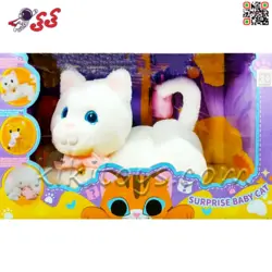 گربه اسباب بازی سنسوری و موزیکال با بچه CAT PETS 93381E