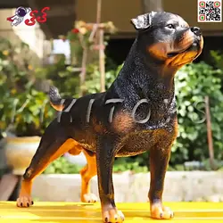 فیگور حیوانات ماکت سگ رتوایلر Fiqure of dog 703