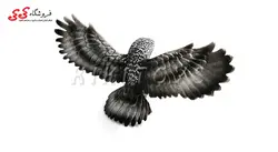 فیگور حیوانات ماکت جغد OWL