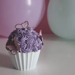 باگر کیک سایز  کوچک کاپ کیک