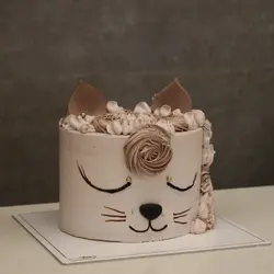 کیک گربه کد دو