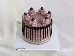 کیک شکلاتی کد120