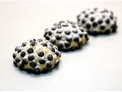 اسکارچیپسی