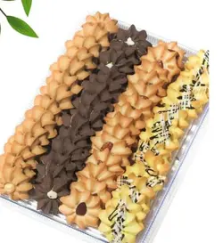 قیفی ستاره ای