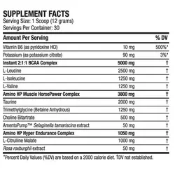 آمینو اچ پی ای اس ان | ASN Amino HP