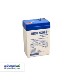 باتری خشک سیلد اسید 6 ولت 4.5 آمپر 3FM4.5 برند بست BEST NGHBEST NGH Sealed lead acid 6v 4.5ah 3FM4.5 Battery