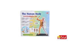 اسباب بازی آموزشی مولاژ کامل بدن (29 تکه) مدل The Human Body 3303