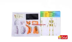 اسباب بازی آموزشی مولاژ کامل بدن (29 تکه) مدل The Human Body 3303