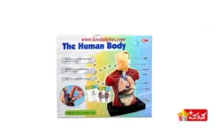 اسباب بازی آموزشی مولاژ نیم تنه (10 تکه) سایز بزرگ مدل The Human Body 3301