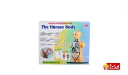 اسباب بازی آموزشی مولاژ نیم تنه (10 تکه) سایز کوچک مدل The Human Body 3305