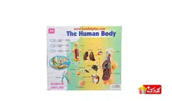 اسباب بازی آموزشی مولاژ نیم تنه (10 تکه) سایز کوچک مدل The Human Body 3305