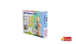 اسباب بازی آموزشی مولاژ نیم تنه (10 تکه) سایز کوچک مدل The Human Body 3305