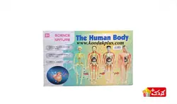اسباب بازی آموزشی مولاژ کامل بدن مدل The Human Body 3302