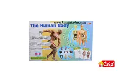 اسباب بازی آموزشی مولاژ کامل بدن مدل The Human Body 3302