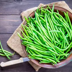 بذر لوبیا سبز آرزومان