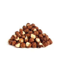 مغز فندق خام