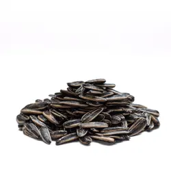 تخمه افتابگردان دورسفید لیمویی