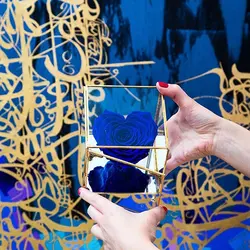 بسته شش عددی تراریوم چشم شاهین