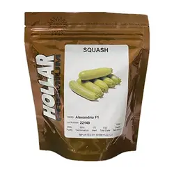 بذر کدو الکساندریا هولار