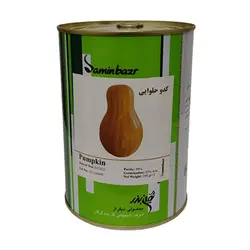 بذر کدو حلوایی ثمین بذر