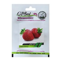 بذر گیاه توت فرنگی گلبرگ پامچال