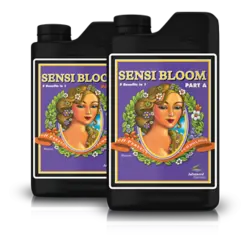 کود سنسی بلوم ادونس