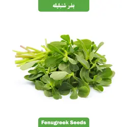 بذر سبزی شنبلیله فله