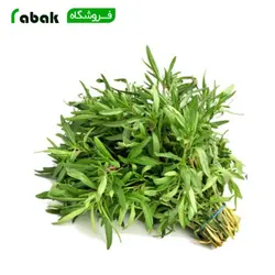 بذر سبزی مرزه فله
