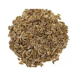 خرید بذر فله سبزی شوید