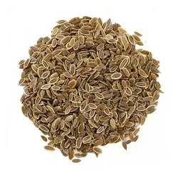 خرید بذر فله سبزی شوید