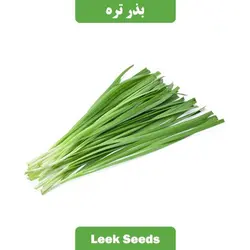 بذر سبزی تره فله
