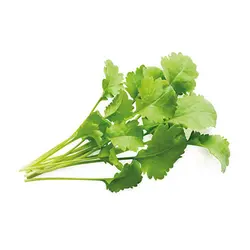 بذر سبزی شاهی فله