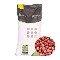 بذر نخود فرنگی ولف دانه درشت KC