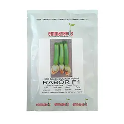 بذر کدو سبز هیبرید رابور اماسیدز