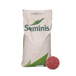 بذر لوبیا سبز تروبرد سمینیس (25 کیلویی)