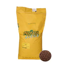 لوبیا سبز سانری پروسید هلند