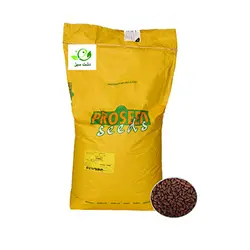 لوبیا سبز سانری پروسید هلند