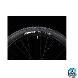 دوچرخه ترک Trek Marlin 8 Gen 3 2023 (اورجینال)