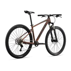 دوچرخه جاینت تالون 1 سایز 29 | GIANT Talon 29 1 (2022)