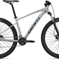 دوچرخه جاینت تالون 3 سایز 29 | GIANT Talon 29 3 (2022)
