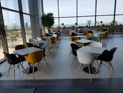 صندلی دسته دار صدف با پایه چوبی